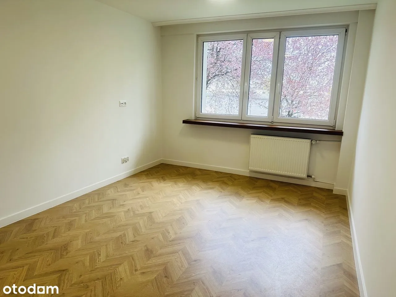 300 m od WUM po remoncie ul. Trojdena