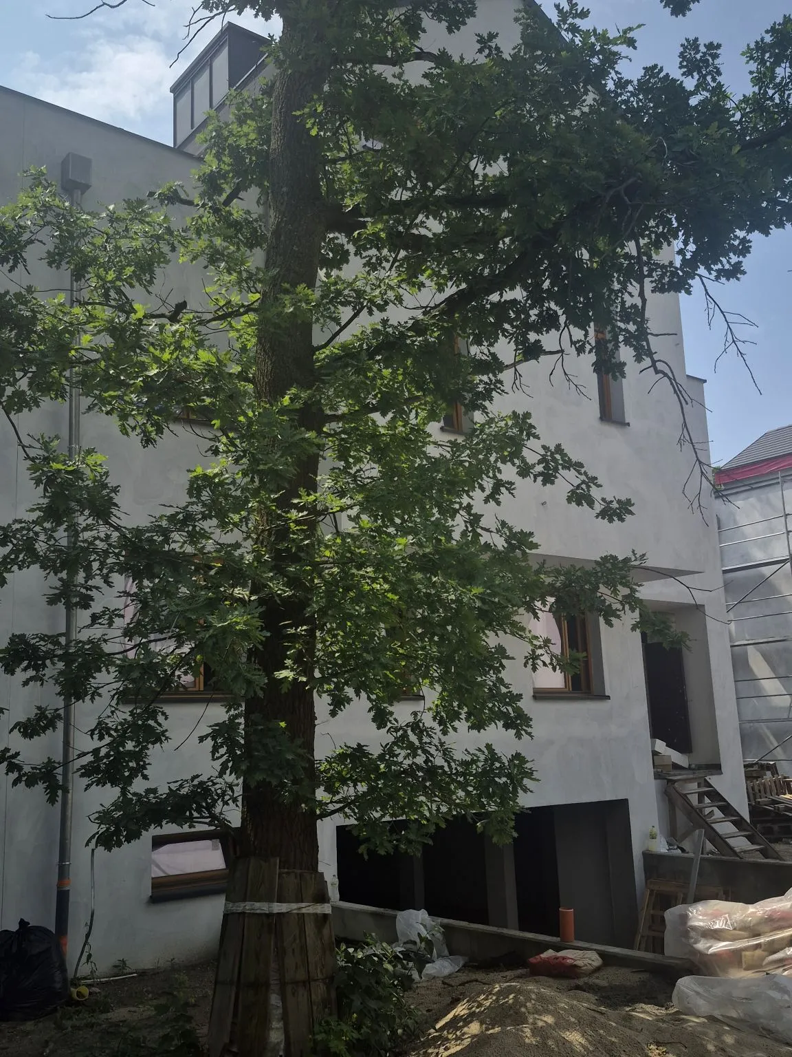 Mieszkanie, ul. Rzeźbiarska