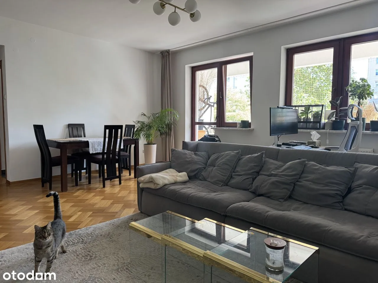 Mieszkanie 3 pok, 86m2, bezpośrednio - dostępne 1 sierpnia