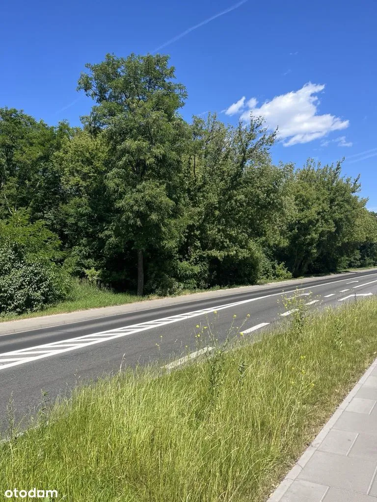 Moje Bielany – przestronne 5-pokojowe mieszkanie z widokiem na zieleń