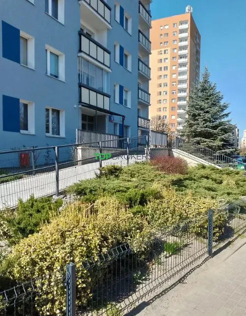 Widne 3 pokoje z oddzielną kuchnią 