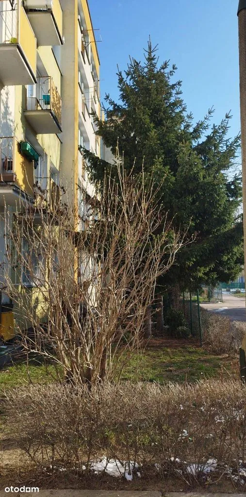 3 pokojowe z 2 balkonami do wynajęcia nad jeziorkiem