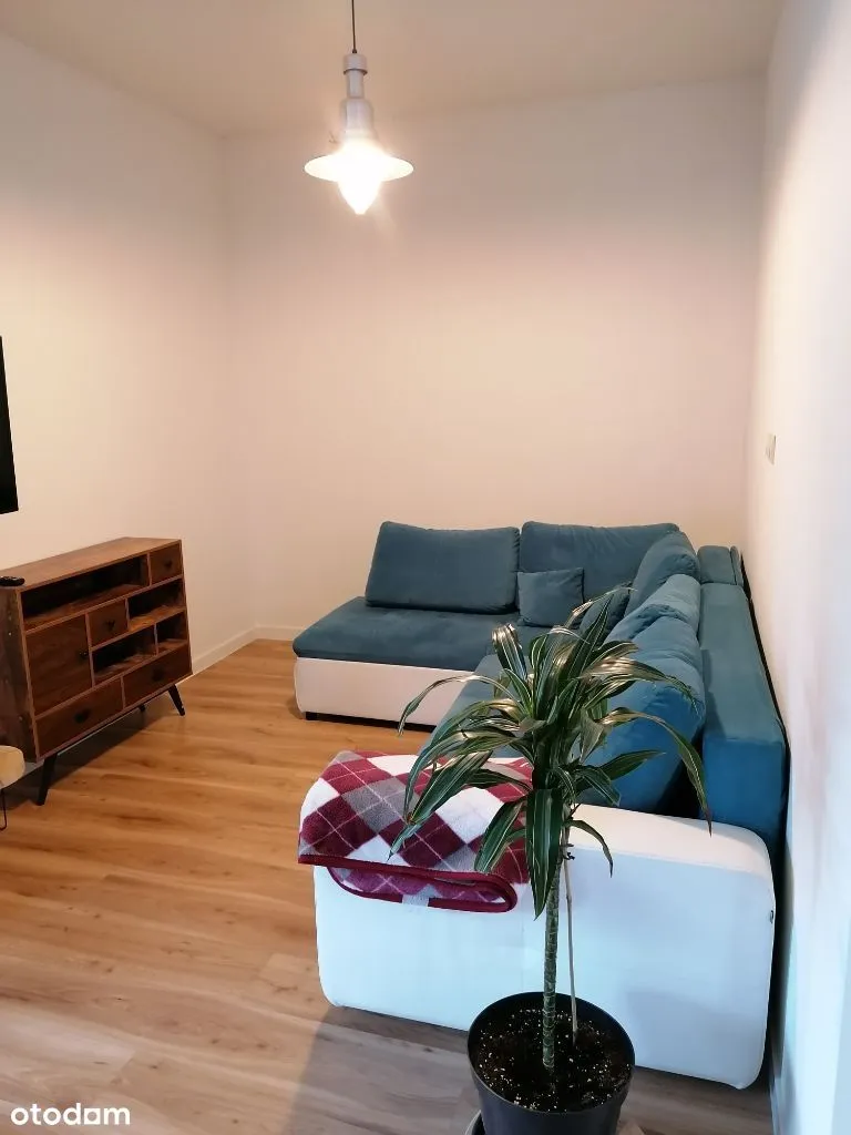 Klimatyzowany apartament z widokiem na las